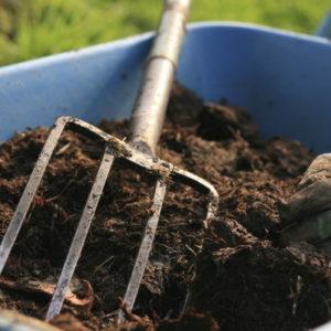 Mulch – Absolute Black